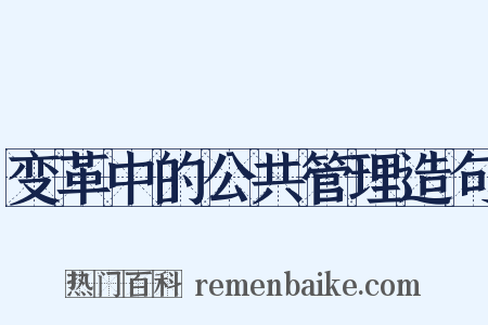 变革中的公共管理造句是什么意思的图片